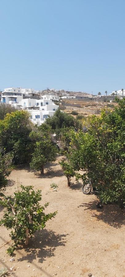 Mykonian beauty 2 Villa Platys Gialos  Bagian luar foto